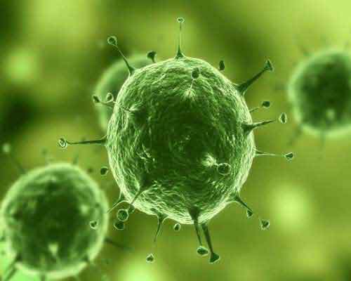 Biocides Actives