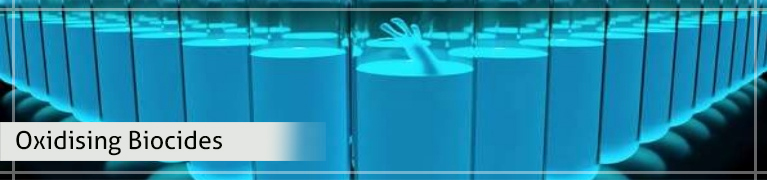 poxidising biocides